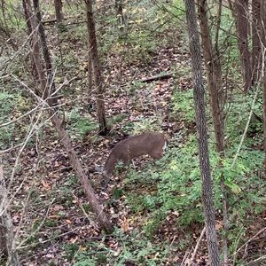 Meet your Posher, Reid